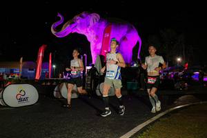 BIB: 
                            <button type="button" onclick="openModal(26534945)" class="btn btn-primary btn-sm float-right btn-popup" data-toggle="modal" data-target=".modal-high-quality">
                        <i class="fas fa-shopping-cart"></i> Add to Cart
                    </button>
                                            <button type="button" onclick="isThisMe(26534945, true)" class="btn btn-success btn-sm float-right btn-popup btn-isme hidden" data-toggle="tooltip" data-placement="bottom" title="นี่คือรูปของคุณใช่ไหม คลิกที่นี่เพื่อเอาเข้าอัลบั้ม">
                        <i class="fas fa-plus"></i> Add to album
                    </button>
                    <button type="button" onclick="isThisMe(26534945, false)" class="btn btn-warning btn-sm float-right btn-popup btn-isnotme hidden">
                        <i class="fas fa-ban"></i> Remove from album
                    </button>